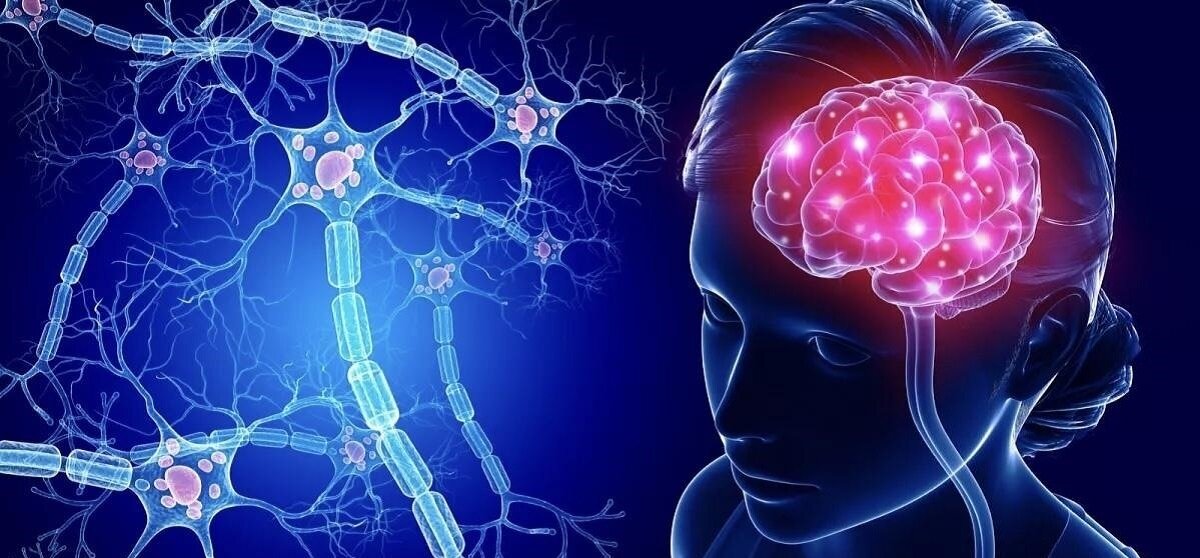 آیا بالا رفتن از پله‌ها برای مغز مفید است؟